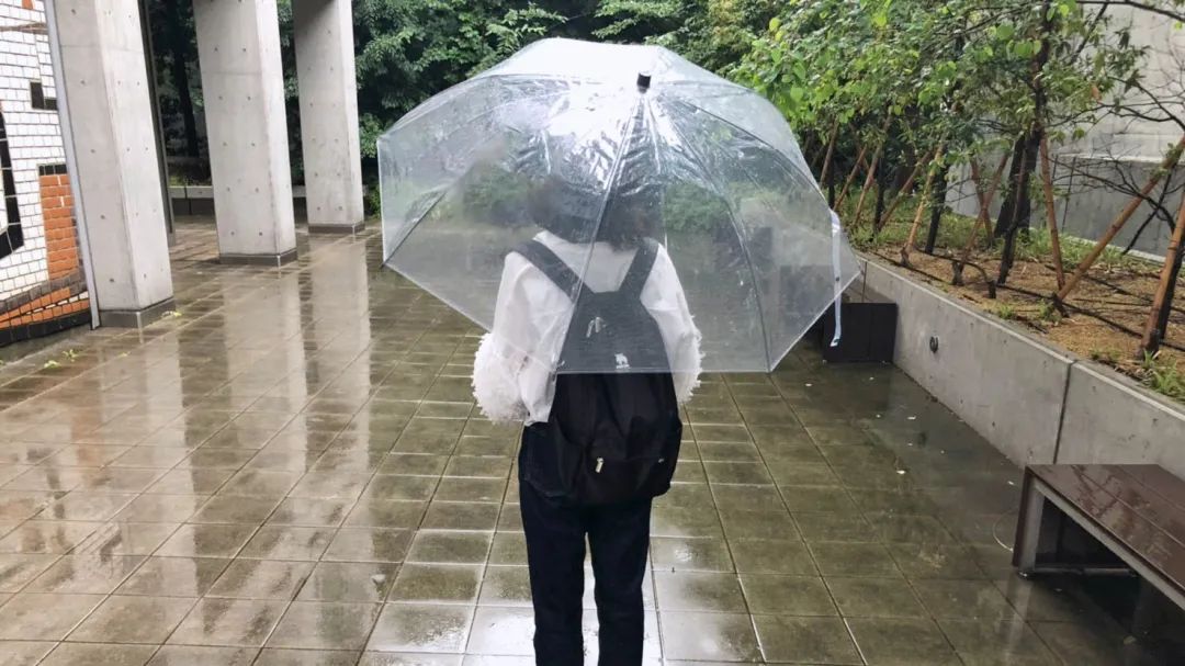 冷知识科普:日本人为什么喜欢用透明的长柄伞?