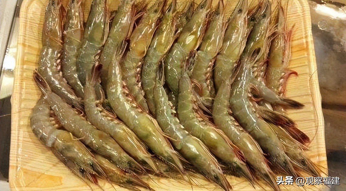 诏安秋天吃什么海鲜,福建各种海鲜图片大全