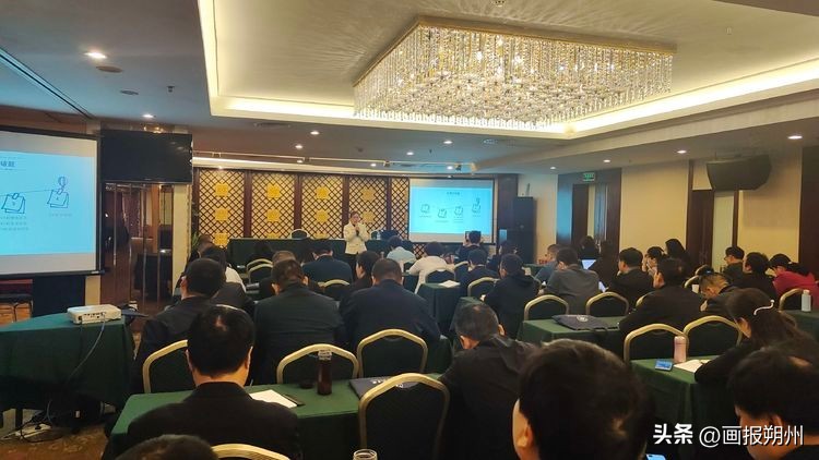 教师交流：专家名校齐赋能一动一静两相宜