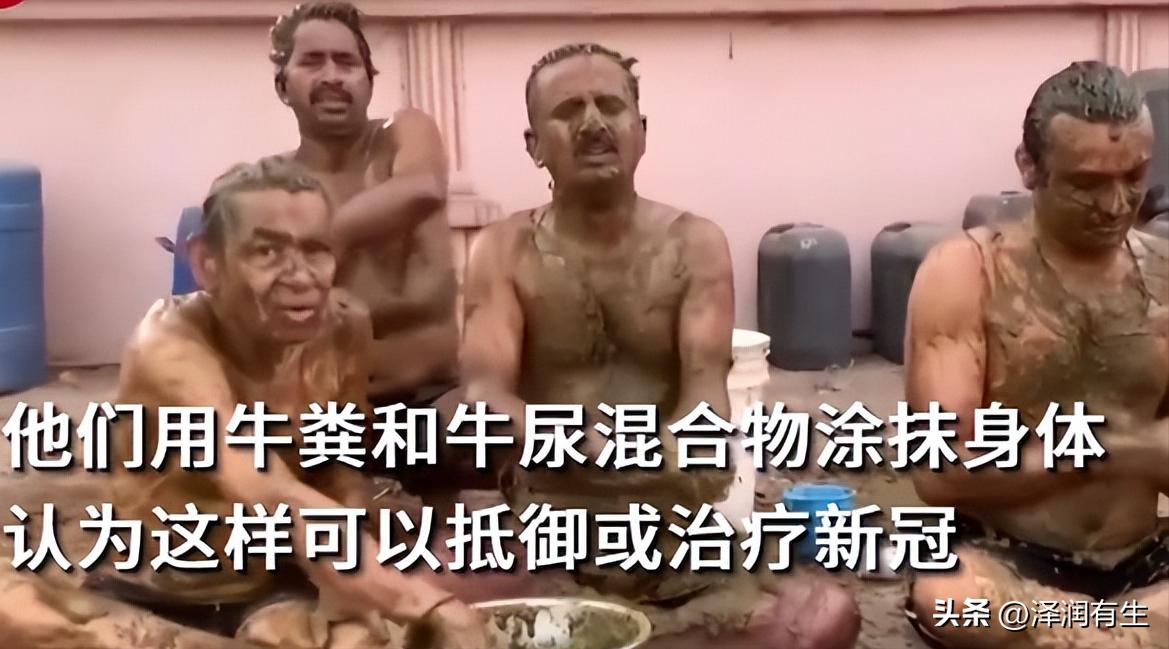 印度教徒喝牛尿能杀病毒吗,印度人用牛尿泡牛粪