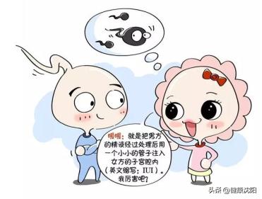 妇幼保健知识宣教活动方案,健康知识普及行动系列科普知识