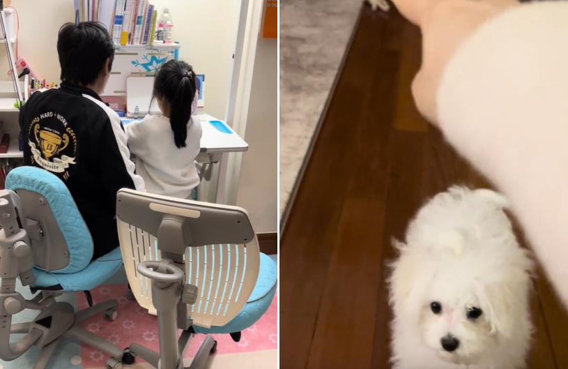 上海隔离明星住址曝光！刘嘉玲每平16万，彭于晏13万，李立群14万