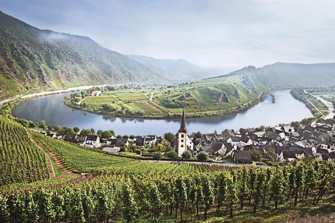 雷司令生日,雷司令2017