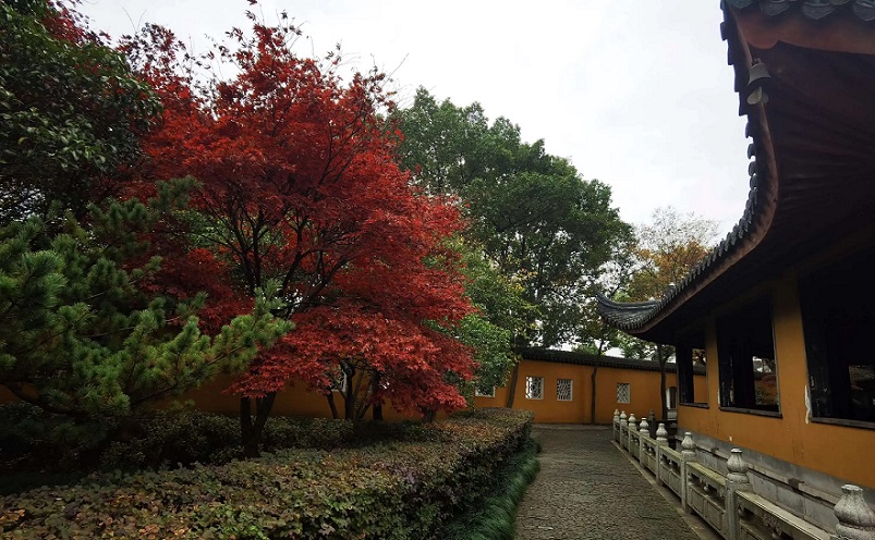 苏州冷门但好看的地方,苏州冷门园林