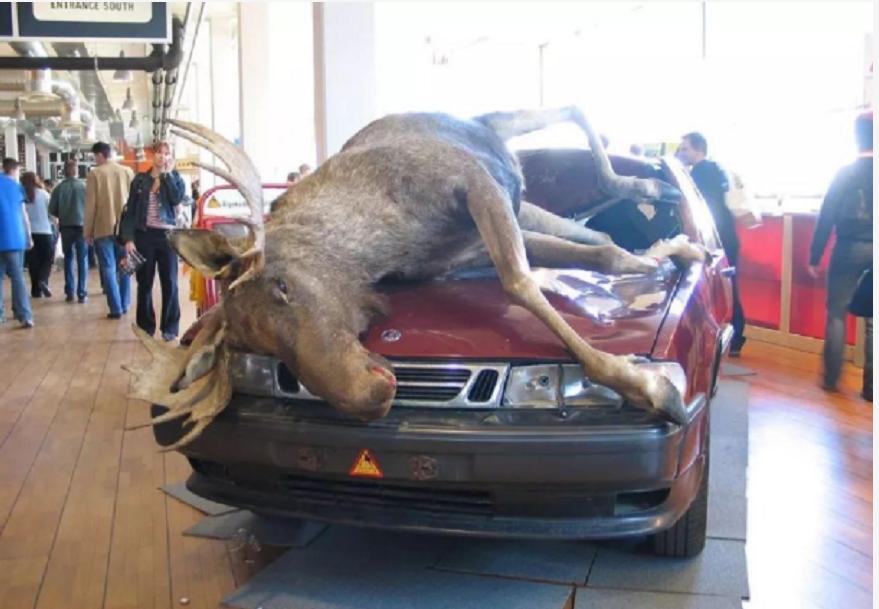 神奇动物中的山海经神兽有哪些,神奇动物中国山海经神兽