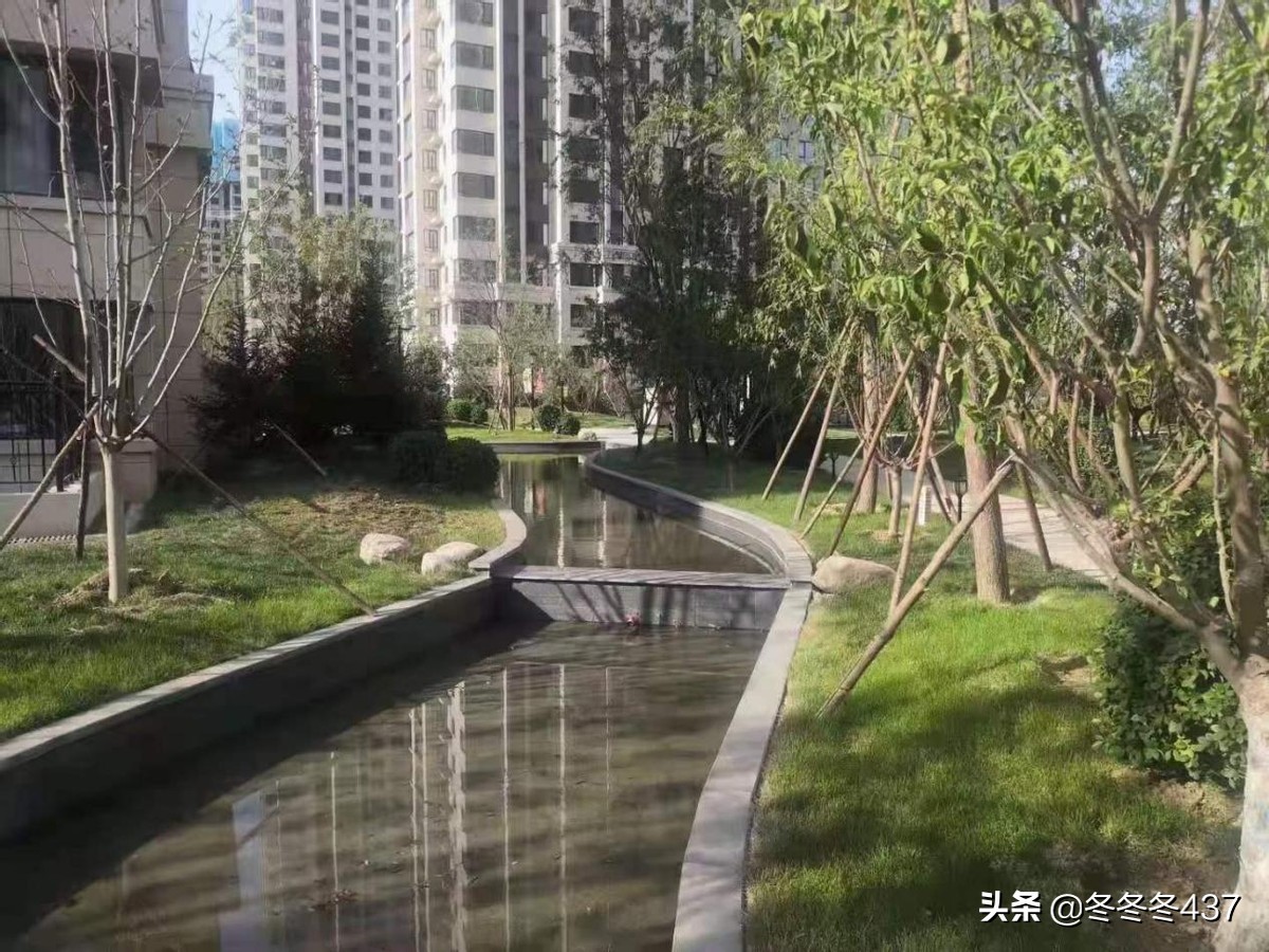 过江龙vs地头蛇,过江龙怎么跟地头蛇斗法