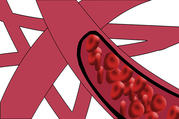 蔬菜皇后洋葱怎么吃,蔬菜皇后与蔬菜