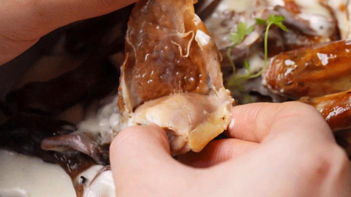 爆火港剧2018,2016年的爆火视频