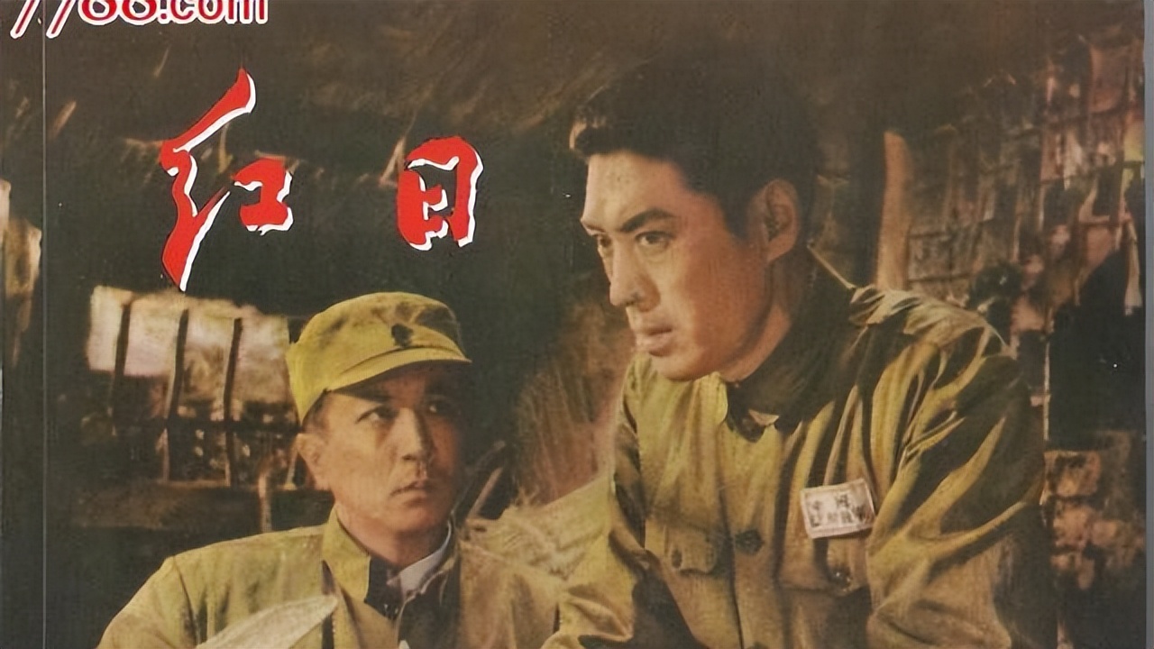 关于革命的小说红日简介,长篇小说红日沈振新的原型是谁