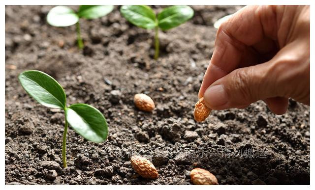 盘点我买过的假鞋,盘点我买过最坑的包