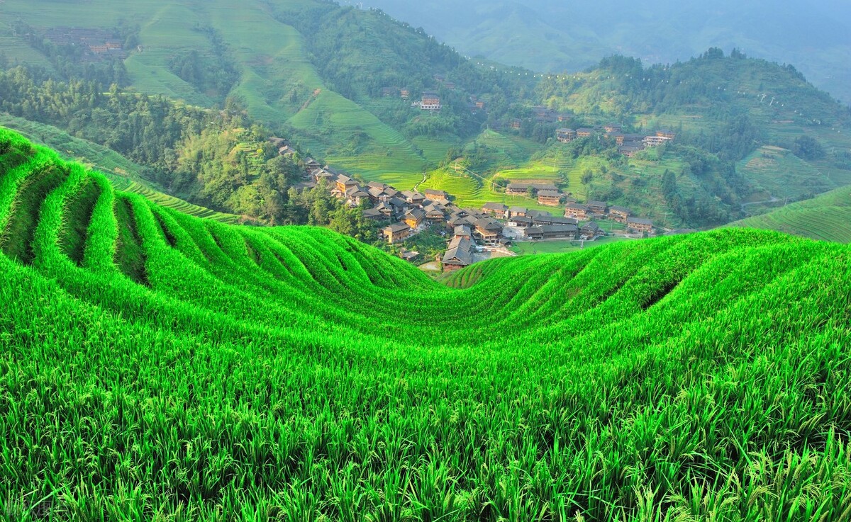 广西梯田龙脊梯田,龙脊梯田世界一绝美不胜收