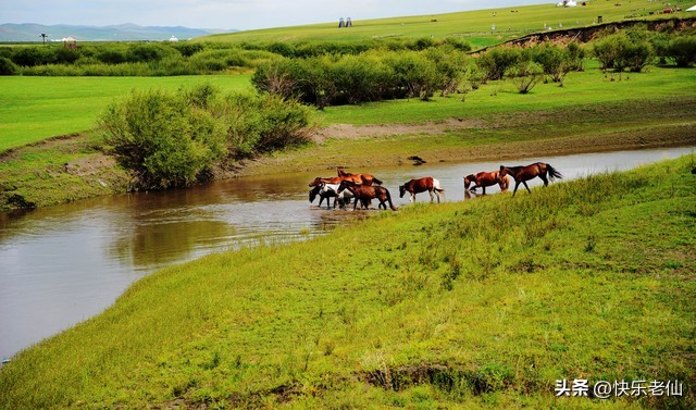 金帐汗蒙古部落好玩吗,金帐汗蒙古部落景点位于哪里