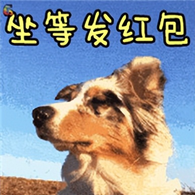 过年忙着抢红包？有这种红包群赶紧退！