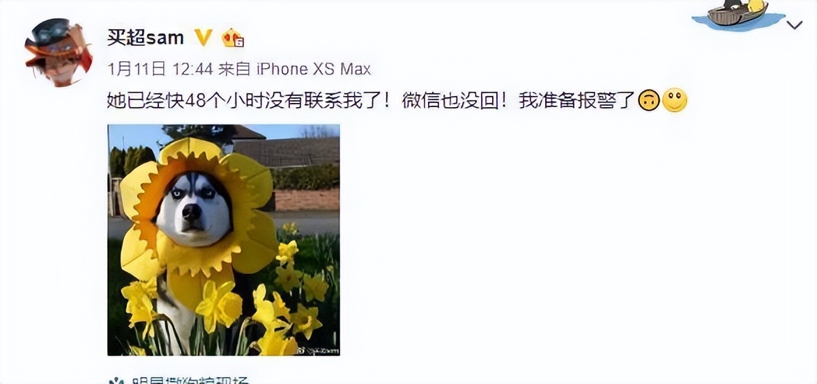 张嘉倪豪门豪宅,张嘉倪家庭豪宅