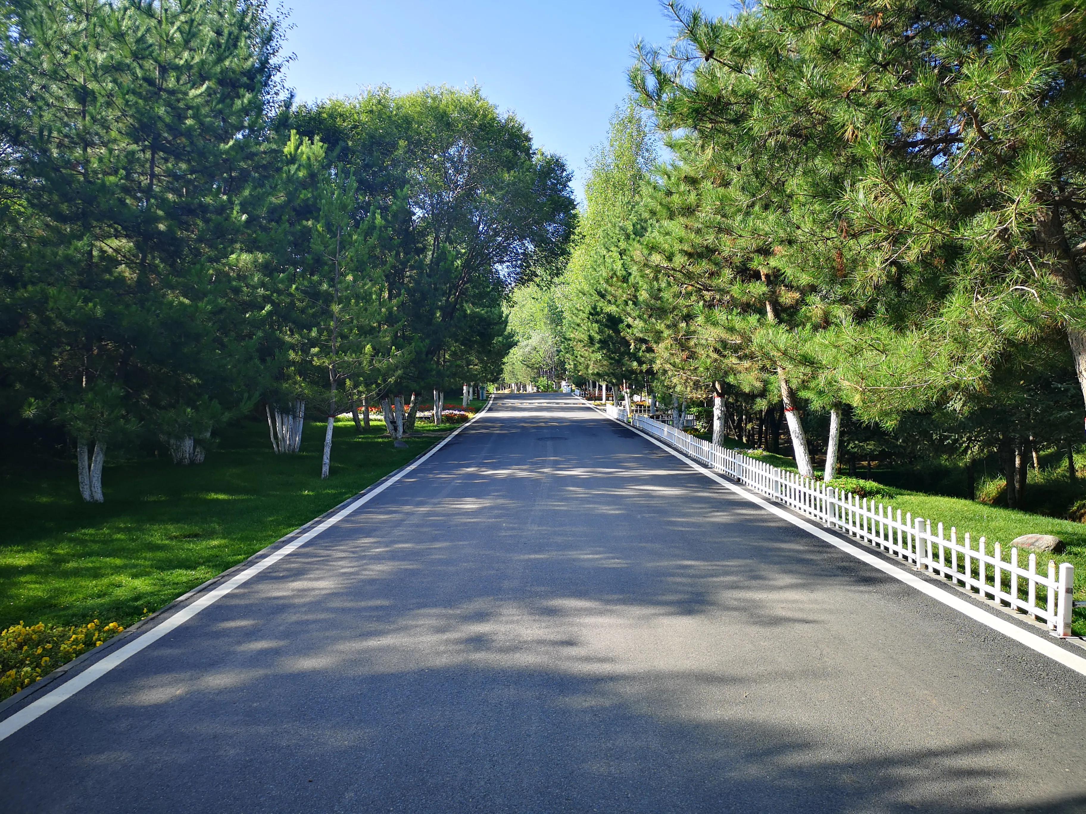 西宁一座不大的城市,西宁人少的山