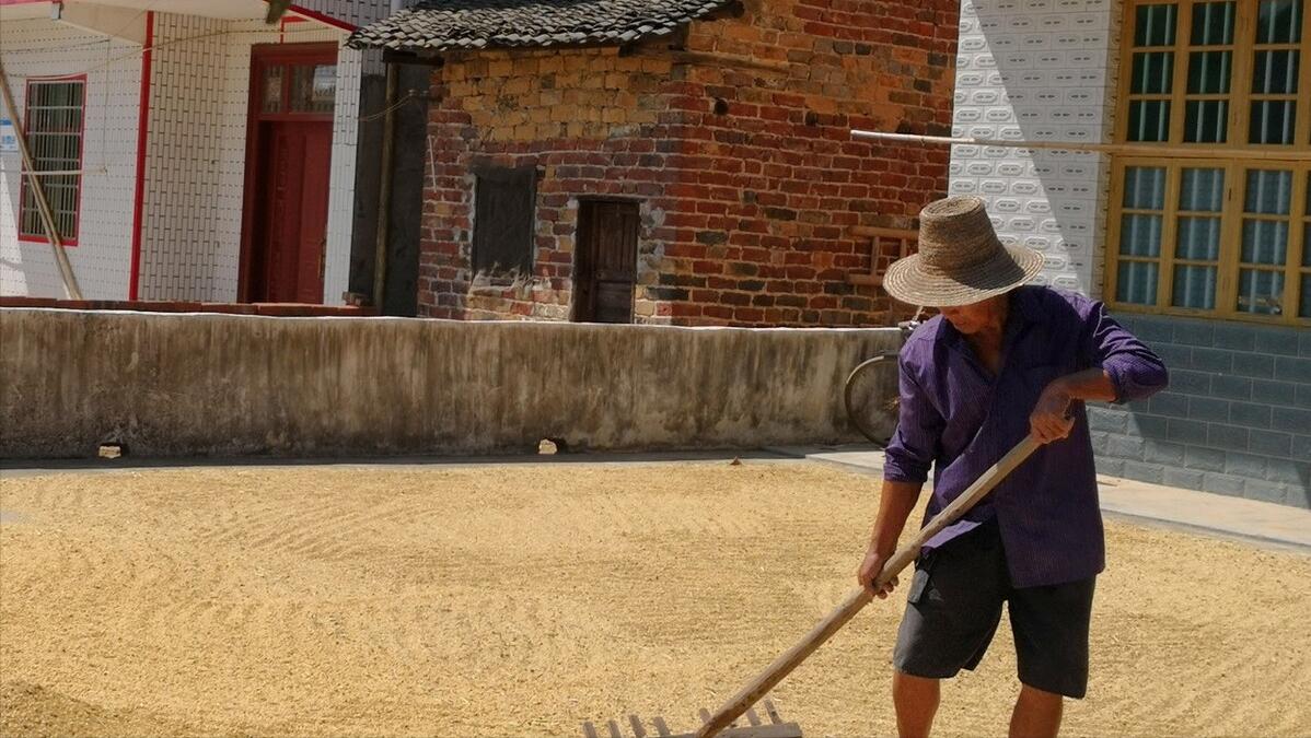 邻居小小说,嫂子小小说