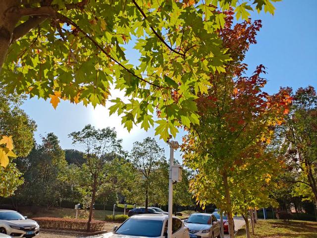 realmeq3s上手体验,realmeq3s深度评测