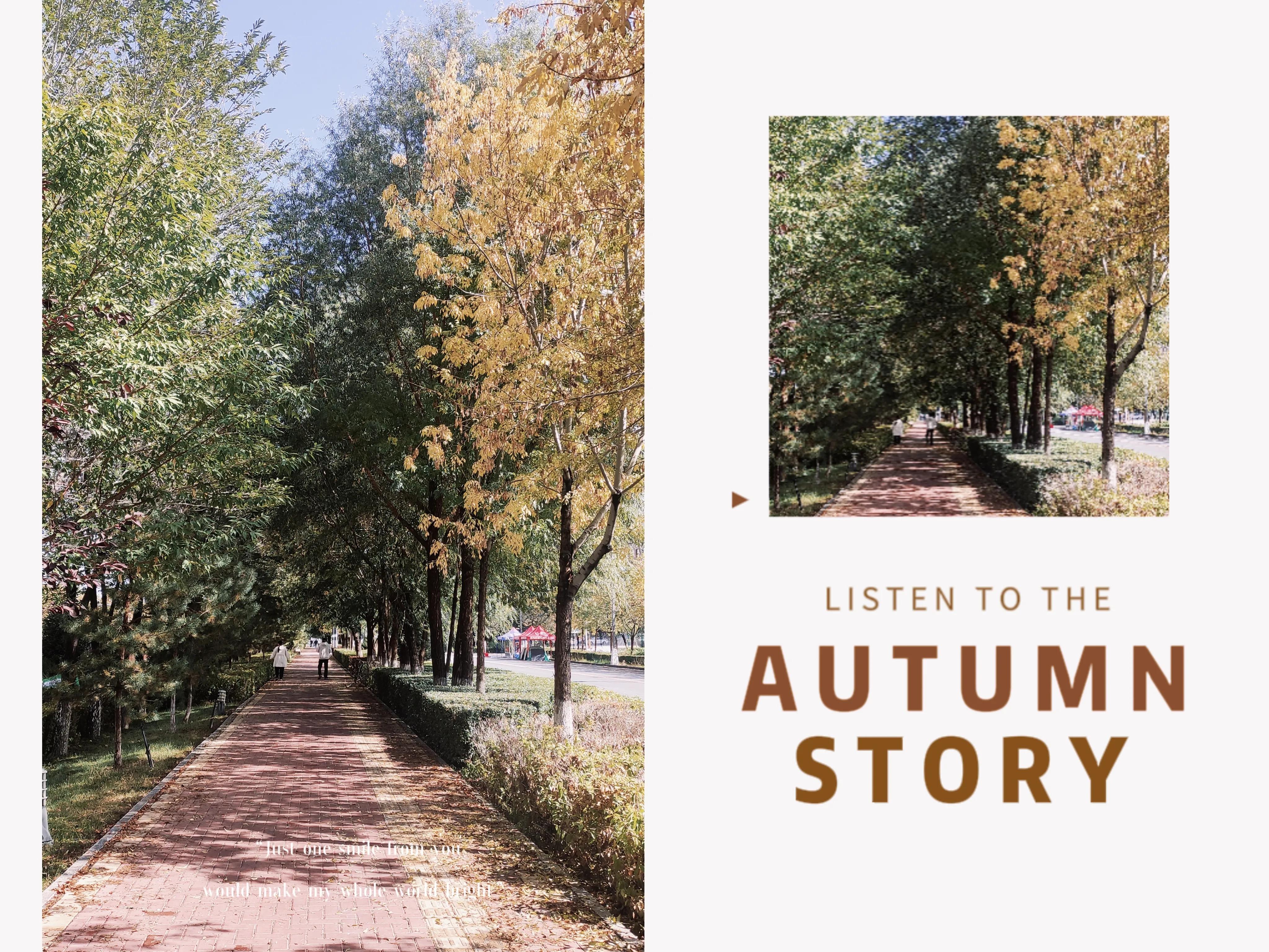 疫情之下小区秋色荡漾,疫情之下绣湖路