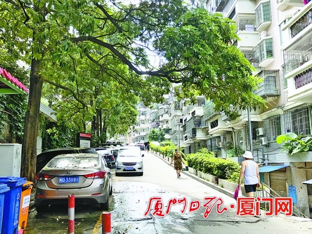 市民投诉青蛙叫声太吵,市民投诉蛙声扰民微博