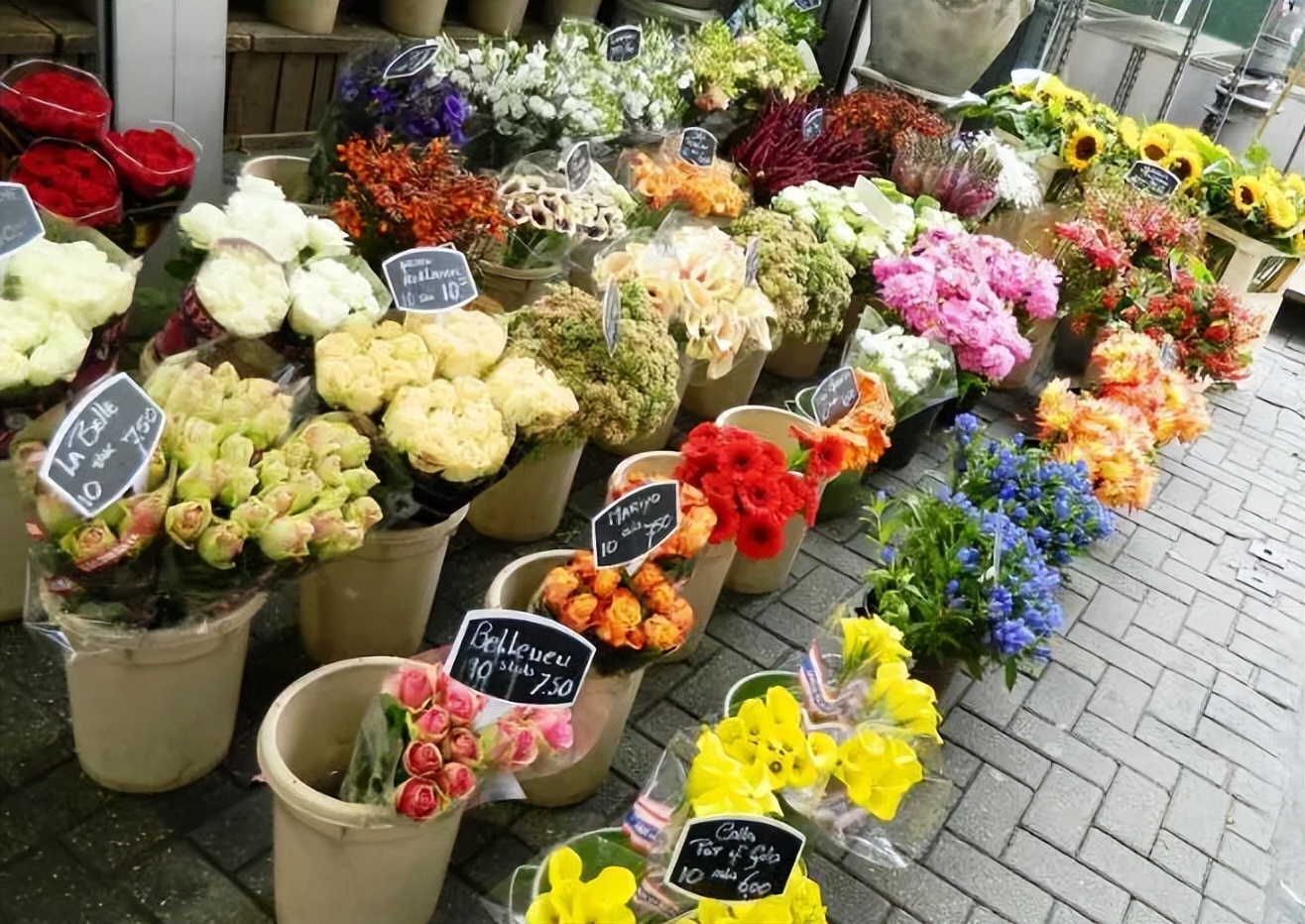 2023加盟店最火爆项目排行榜,2023年最赚钱加盟店