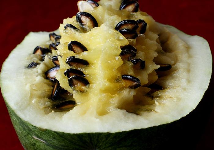 猜猜这是啥？你一定吃过！