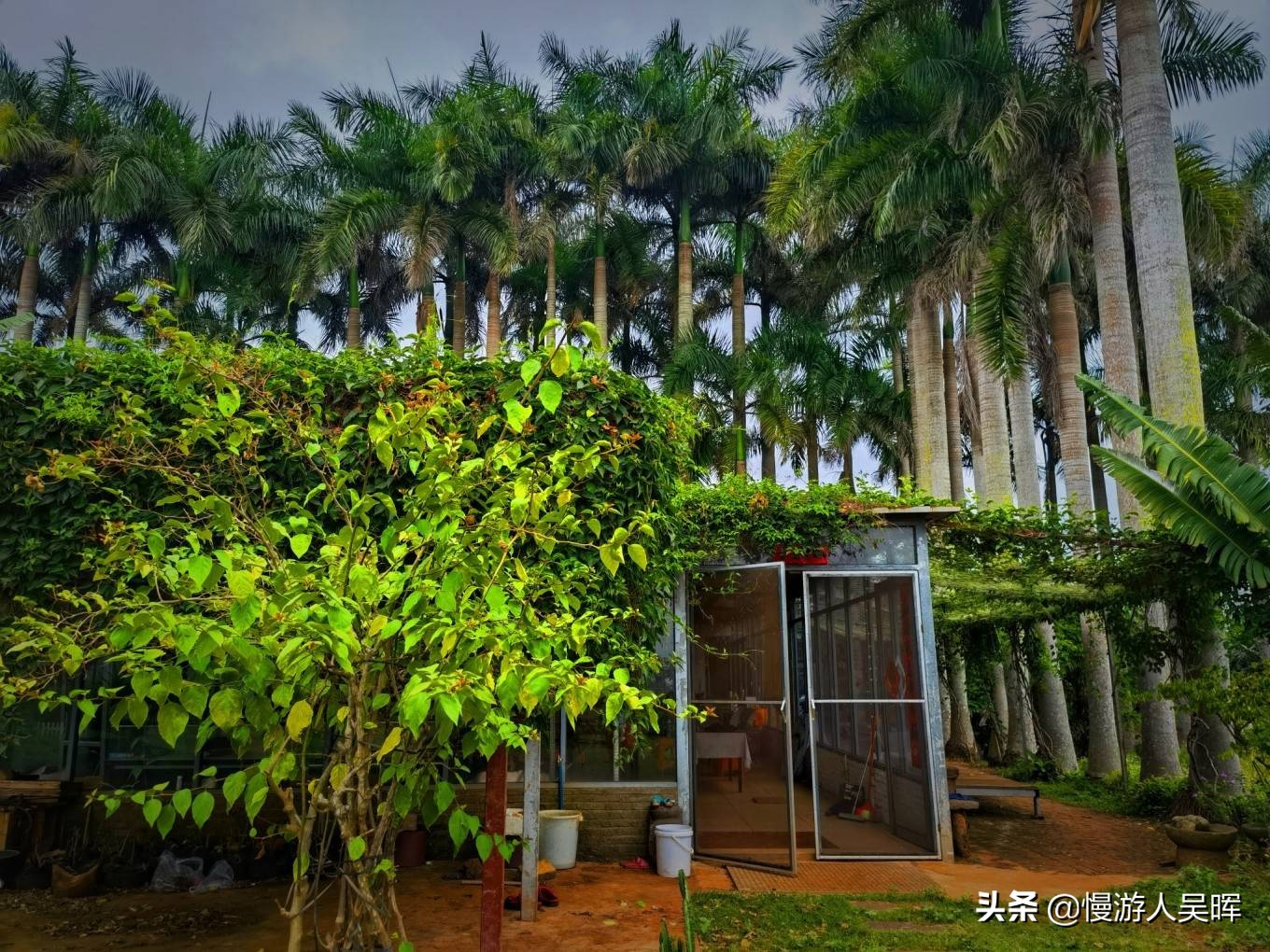 海南环岛游攻略详细行程,海南东线环岛游攻略自由行