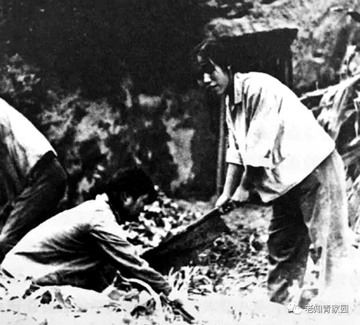 北大荒知青生活叙事诗——北大荒“游击词”100篇