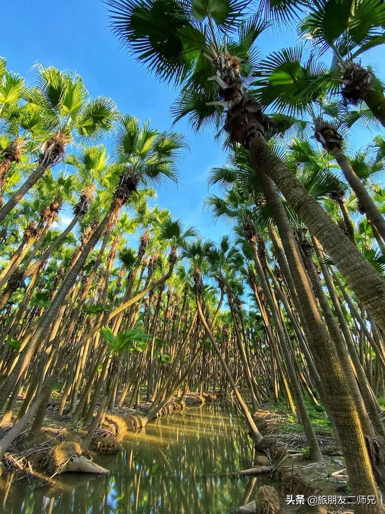 台山旅游攻略浪琴湾景区,台山浪琴湾旅游攻略大全图