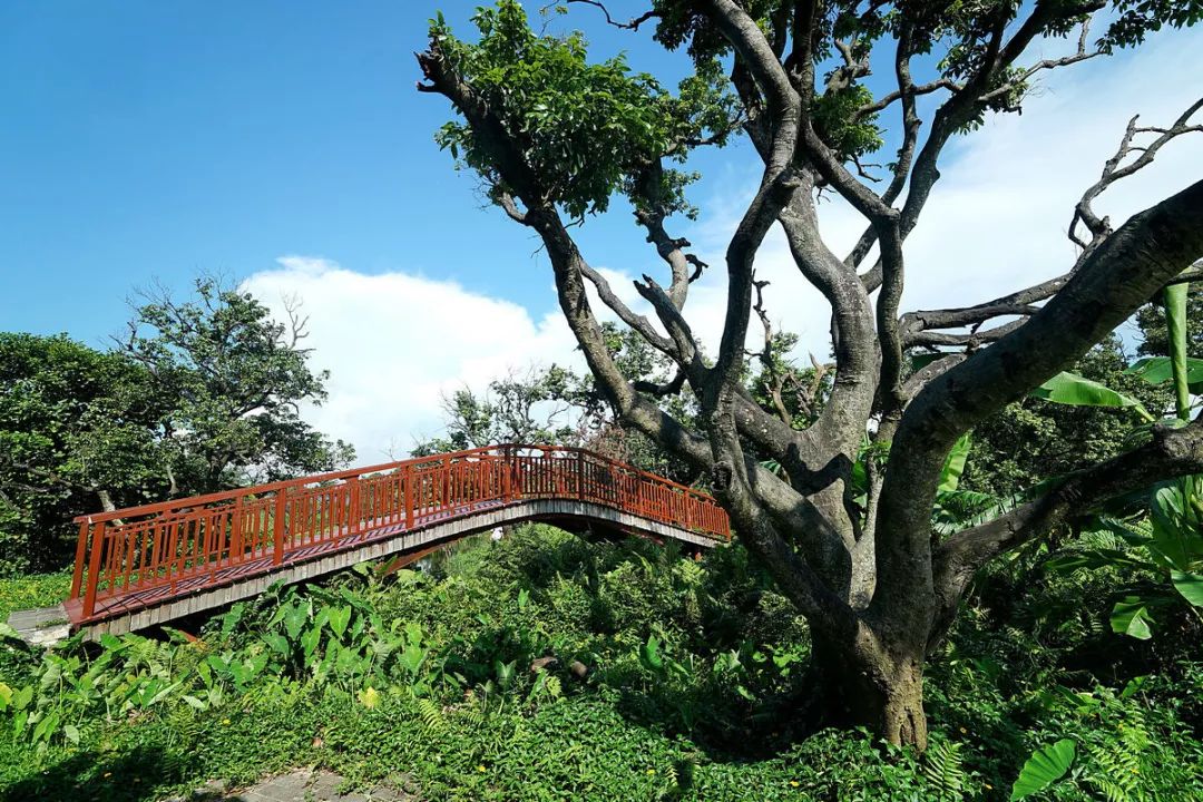 广州鹤之洲湿地公园游玩攻略简介,增城凤凰古城一日游最佳去处