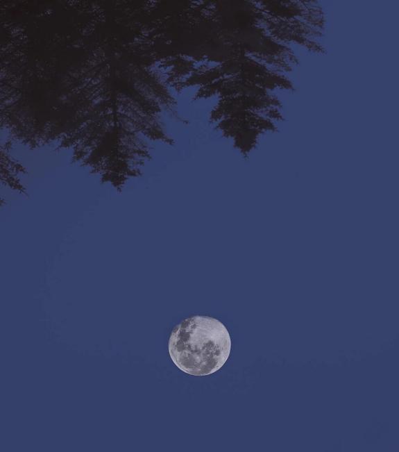 十五夜望月描写节日的诗句,关于月亮正月十五思乡的古诗