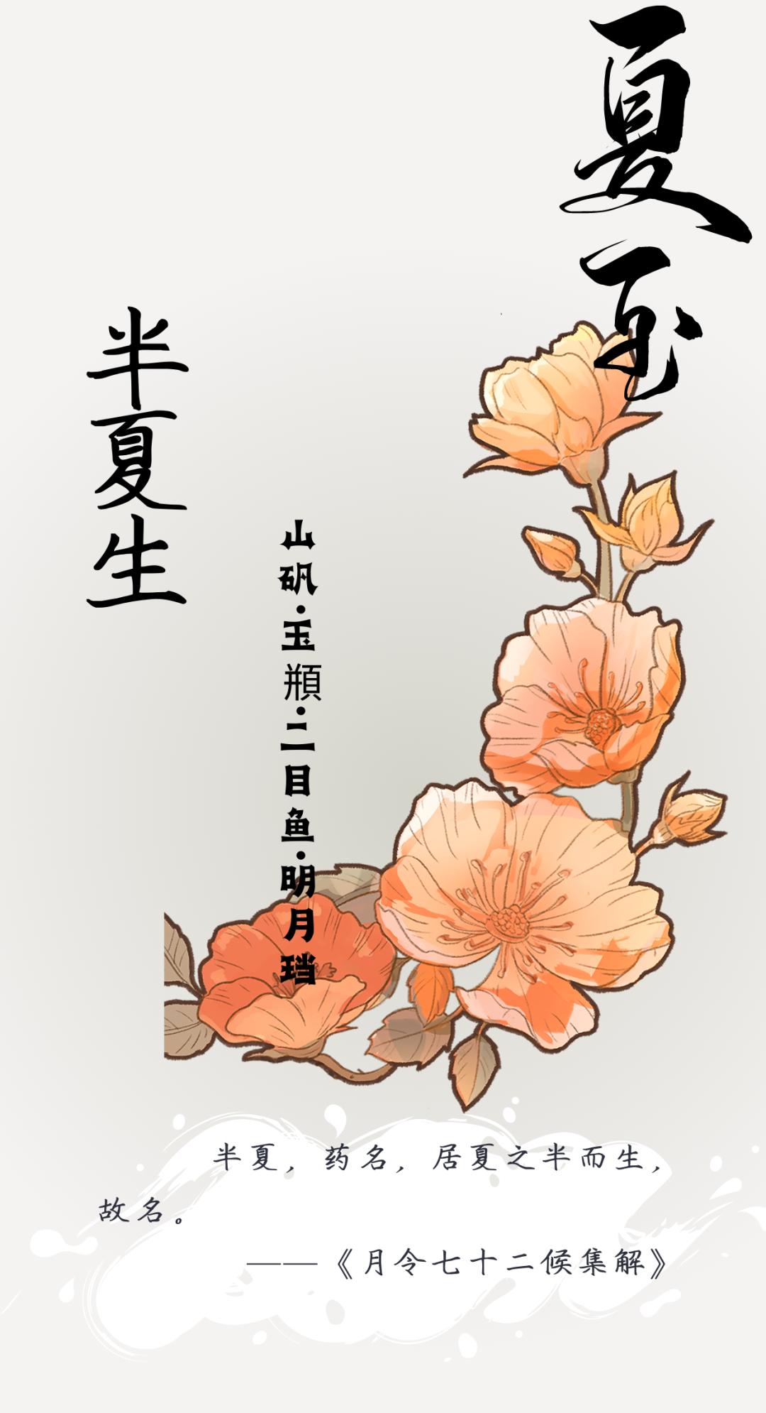 夏至如约而至白昼最长的一天,夏至夏日已至