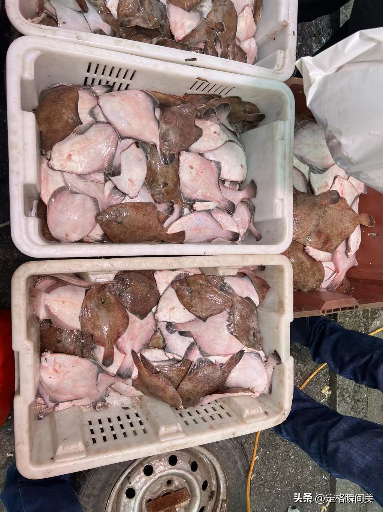 青岛鲳鱼价格,青岛今天鲳鱼价格最新行情