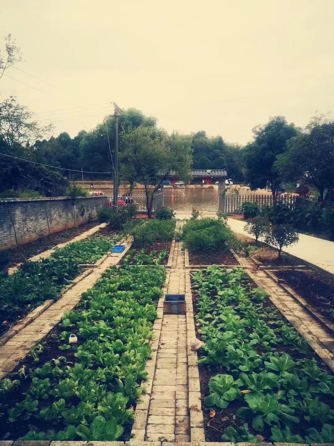 平凡的生活心里一定要有风景,平凡人的快乐人生
