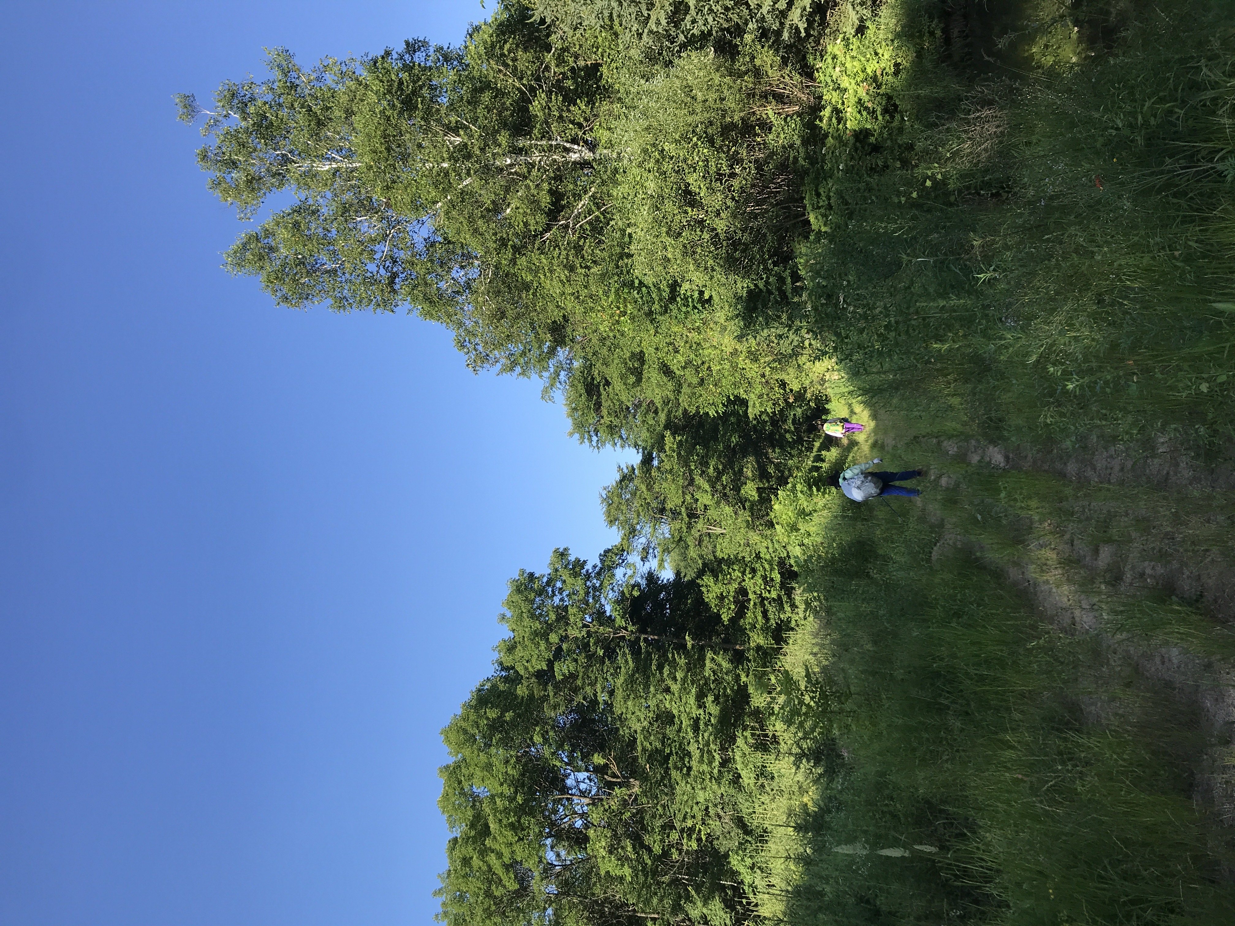 探秘摩艾石像,探秘摩迈尔洞穴