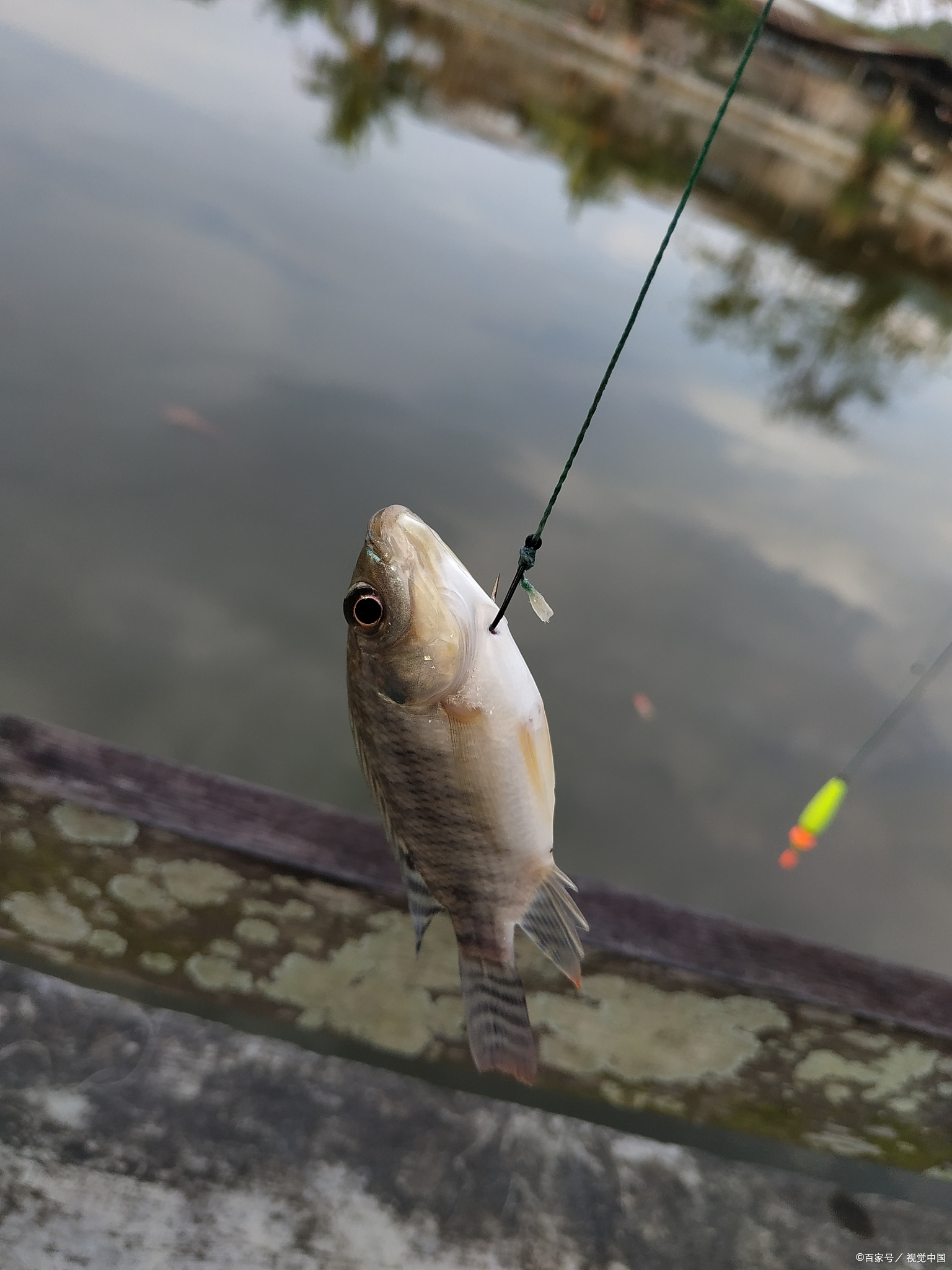 威海鱼竿路亚怎么样,威海路亚滑漂鱼竿