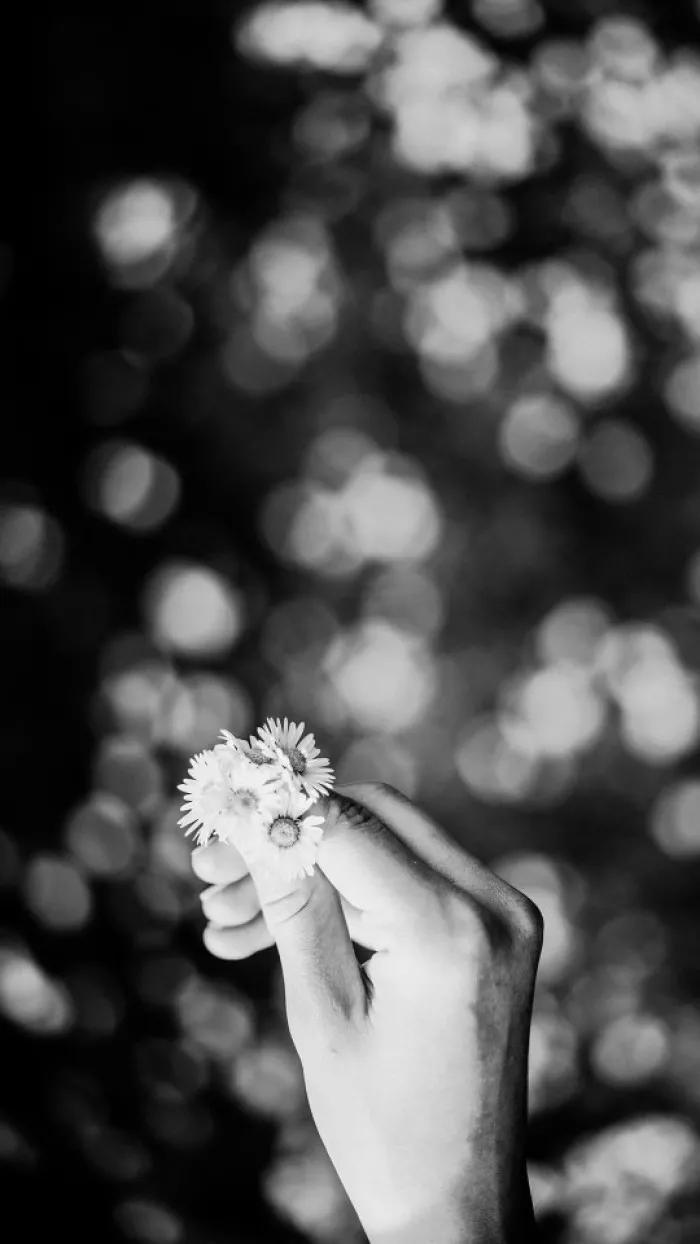 黑白花朵壁纸超清,全屏花朵壁纸无水印黑白