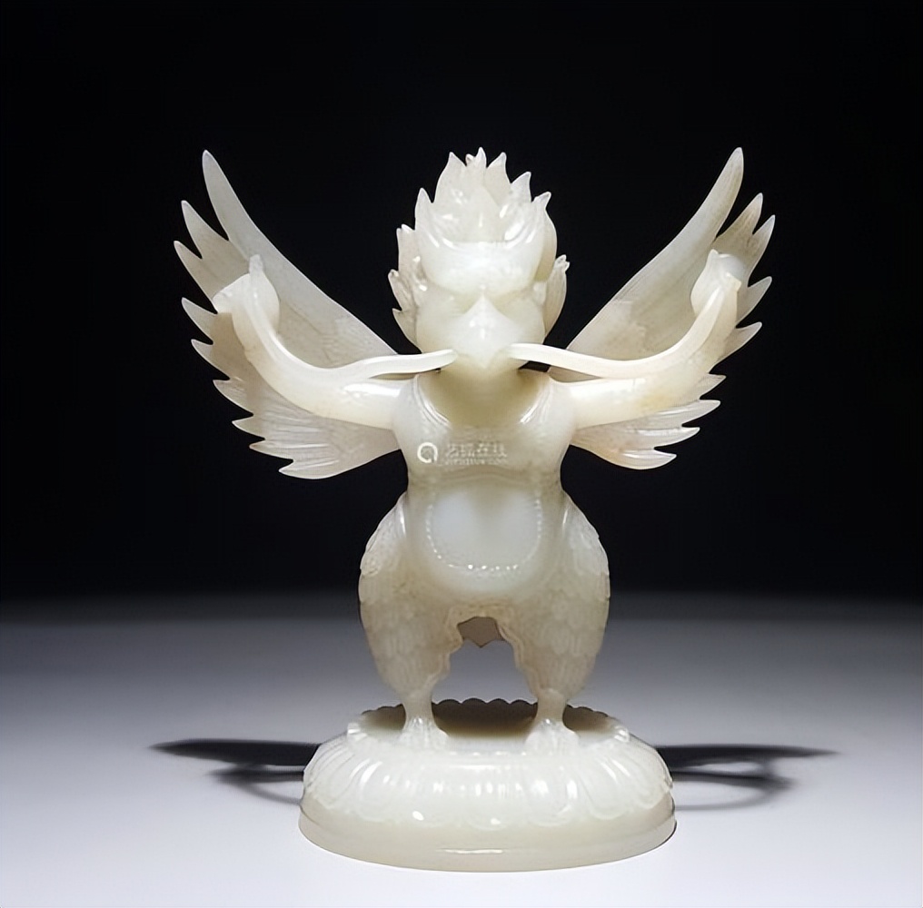 金翅鸟图像分析,金翅鸟视频大全