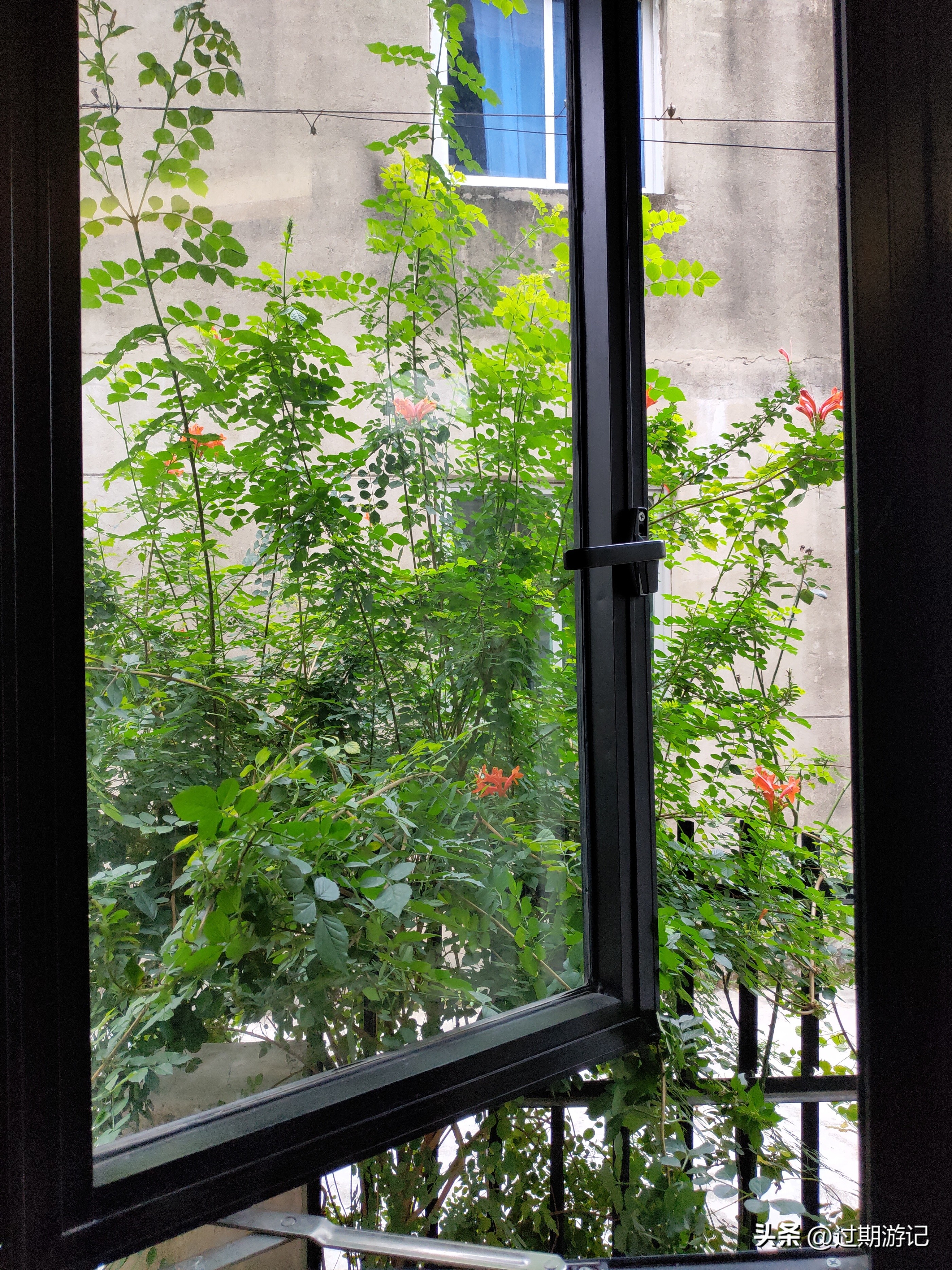 青田县旅游必买的东西,侨乡青田旅游的好选择