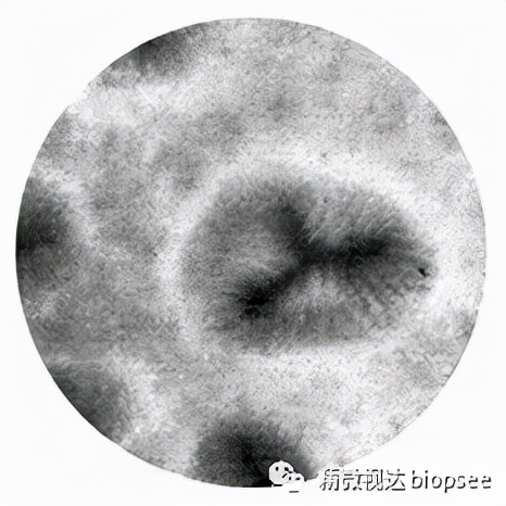 精微视达医疗科技,精微视达医疗科技销售代理