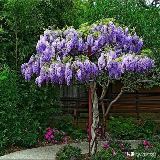 自来熟的人招人讨厌吗,自来熟无语