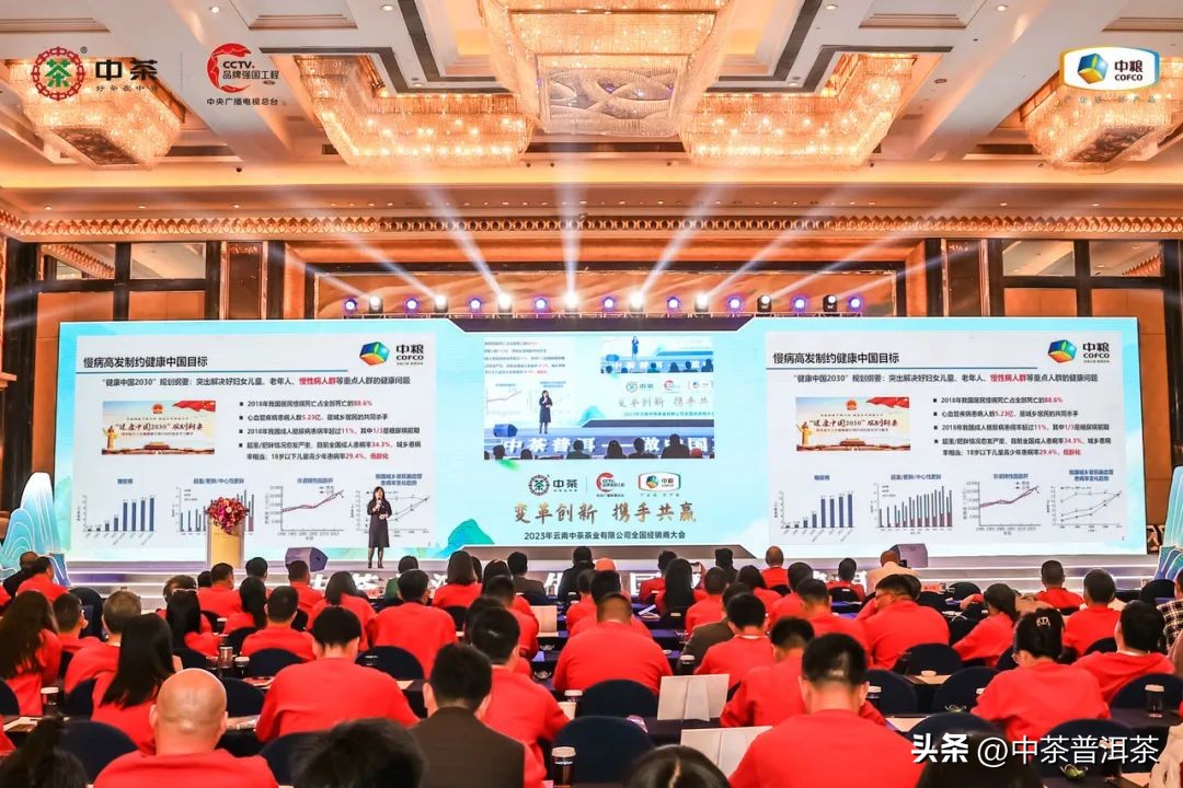 中茶普洱茶经销商信息大会,中茶2024年经销商大会