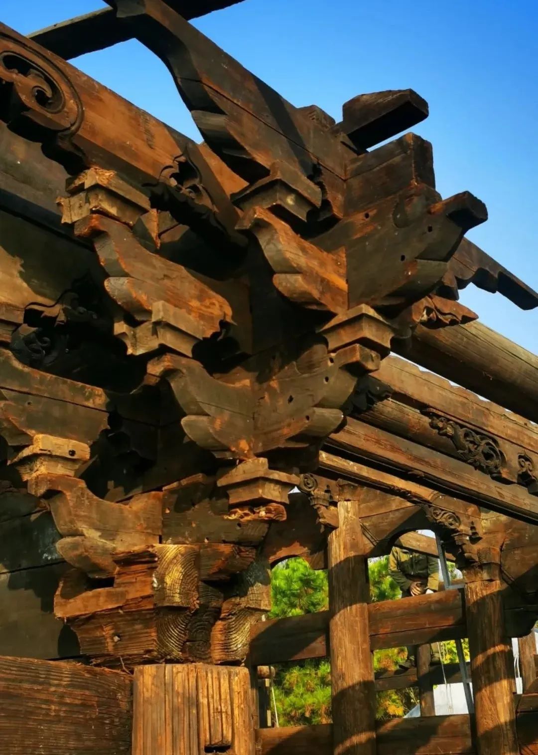 鏄庝唬鏂囦汉浣跨敤鏂囨埧鐢ㄥ搧,鏄庝唬鏂囦汉鍞愬瘏鍜岄檲娲欢