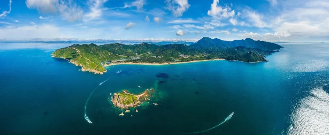 椋為槄娣卞湷41鍛ㄥ勾,椋為槄娣卞湷鏃ュ巻