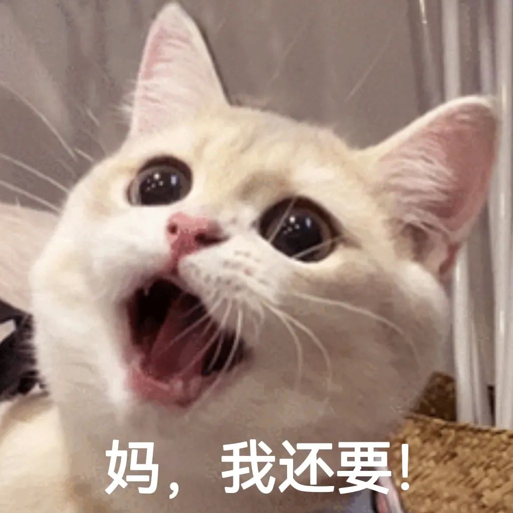 猫狗太臭了怎么办,为什么猫狗夏天不热