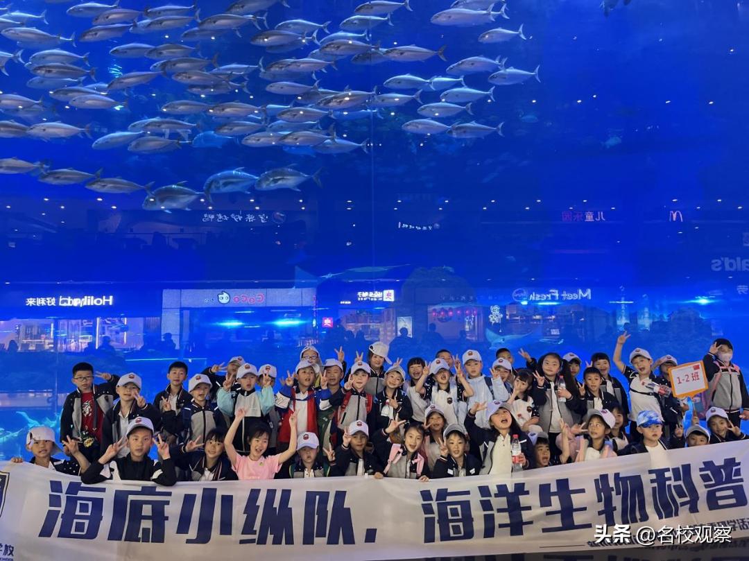 蔚蓝做苍穹，鱼儿变繁星！新川学子，走进浩海立方，探秘无限海洋