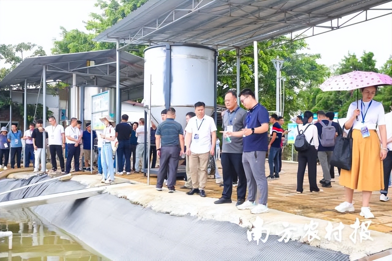 数字农业与智慧农业发展,广东将实施数字农业建设行动