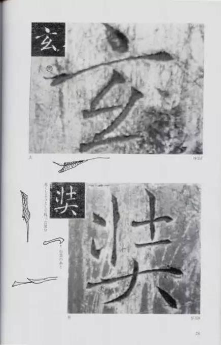 宸ョ瑪鐢绘潹鏅箟鐢诲唽,鏉滈箖鏉ㄦ櫘涔夊畬鏁寸増