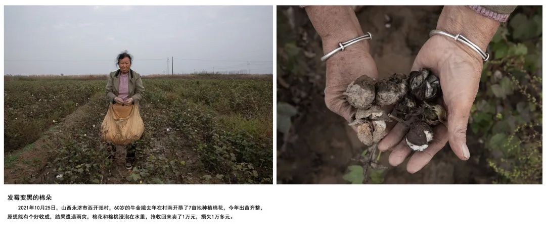 迎接党的20大美术作品,喜迎二十大乡村摄影展