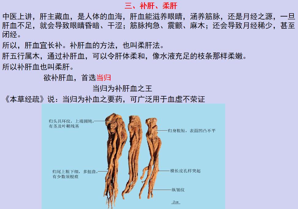 肝气一通百病无踪艾灸穴位,中医怎么治肝
