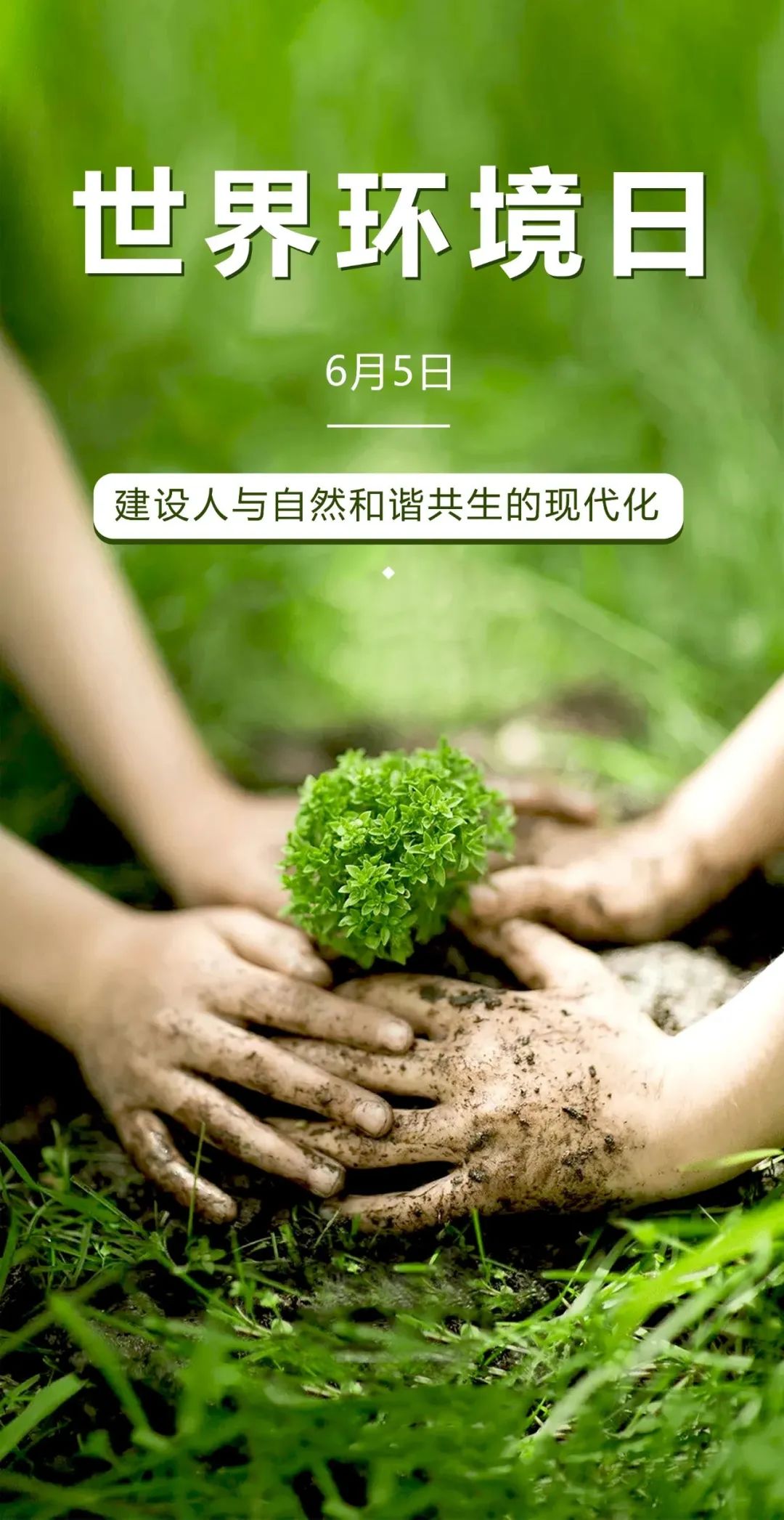 世界保护环境日关爱自然刻不容缓,世界环境日保护自己